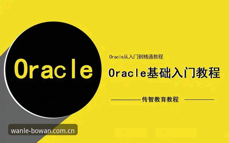 如何高效掌握博万娱乐使用教程？从注册到实战的完整指南
